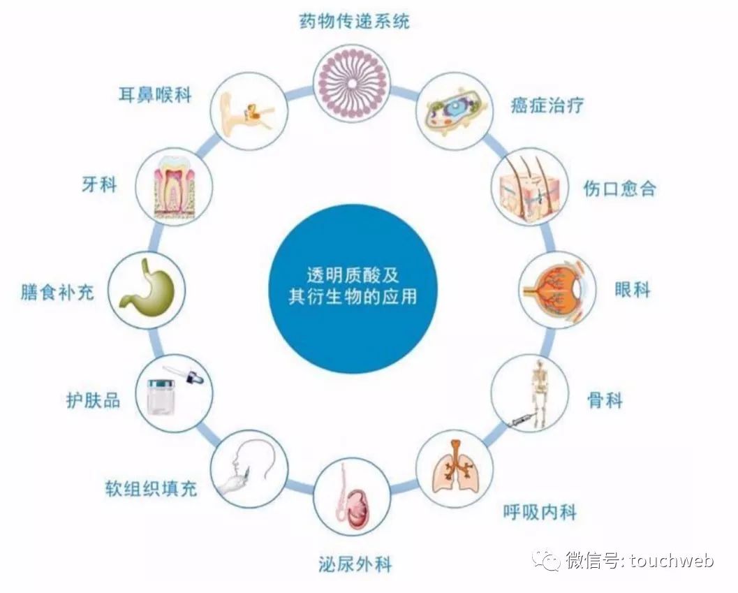 华熙生物是世界玻尿酸龙头吗,华熙生物科创板