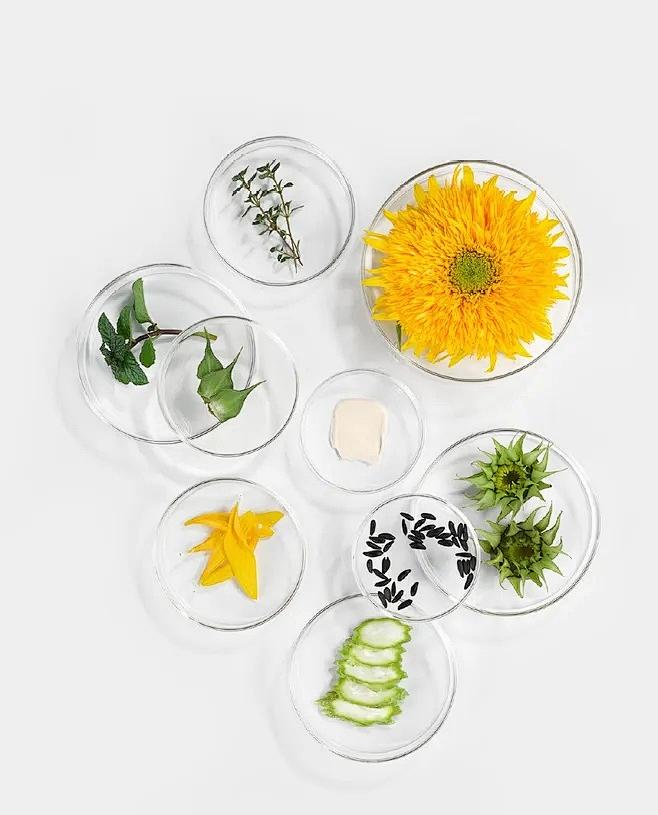 2021十大顶级护肤品排行榜,大牌护肤品成分表推荐