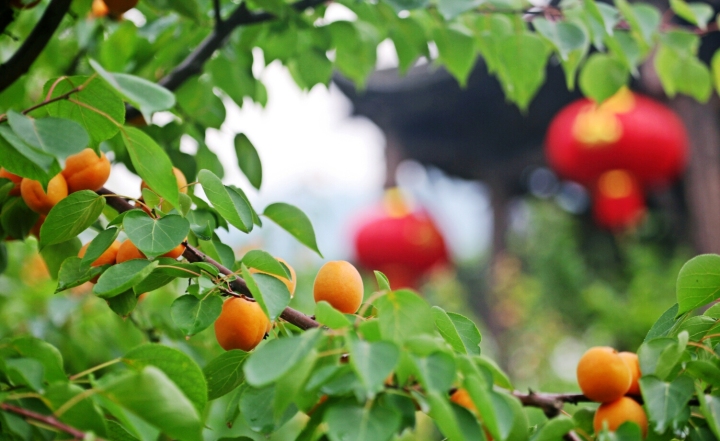 1130是什么星座,1134是什么星座