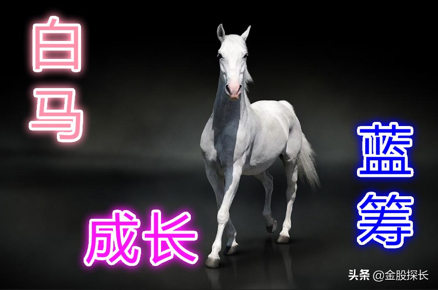 白马蓝筹成长赛道股,白马蓝筹品种介绍