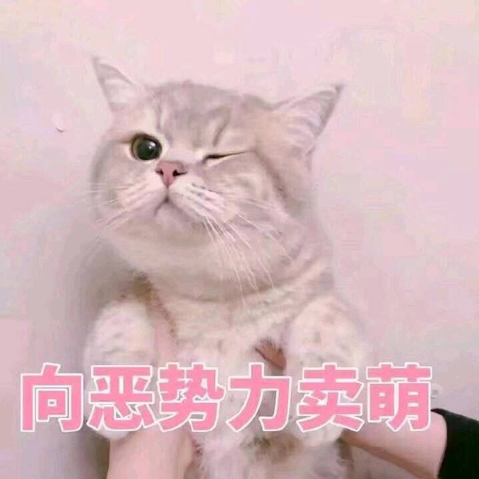 每周的朋友圈说说,每周的话题排行