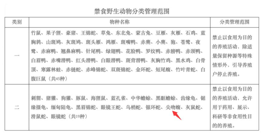 7斤重！五步蛇与狗大战，狗被咬身亡，它毒性多强，人遇到咋办？