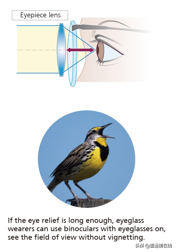 天文望远镜基础知识有书籍吗,望远镜该如何挑选