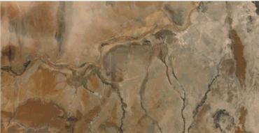 这部BBC纪录片一开播就拿下9.5高分，除了美更培养了孩子的世界观