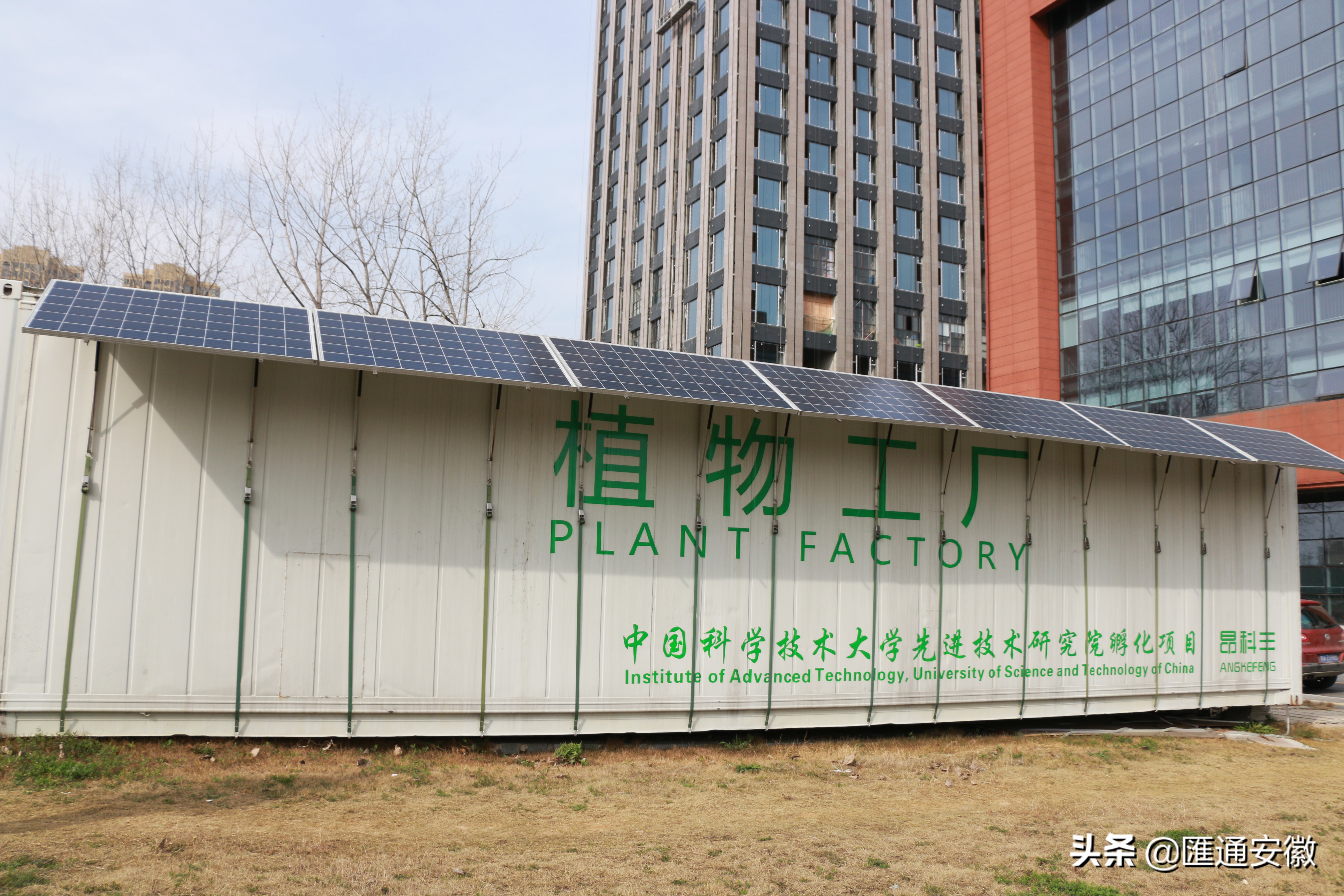 合肥植物工厂,探秘植物的神奇光合之旅