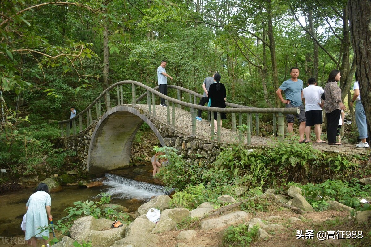 小柳舍己救人错过女友生日party多大的事儿,原创