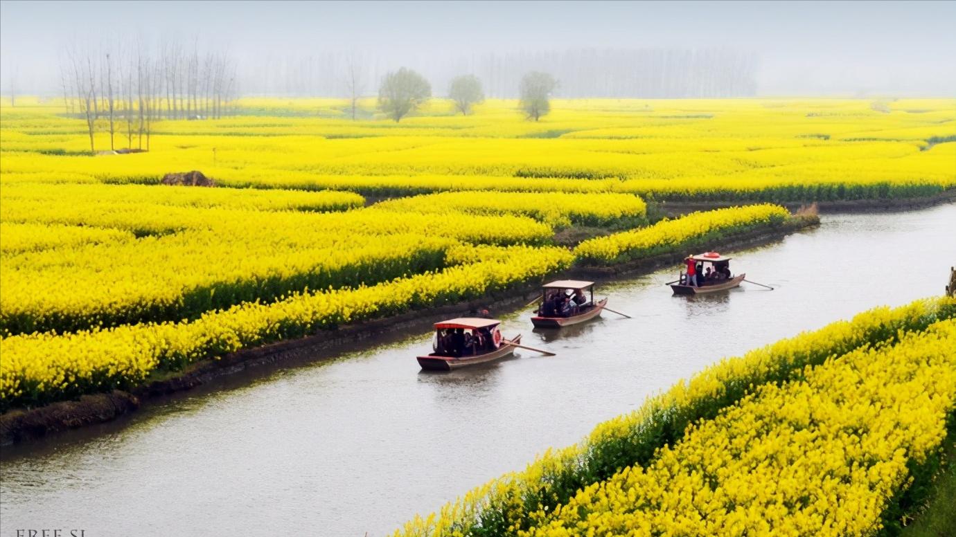 华东江苏篇,浅谈全国各省份