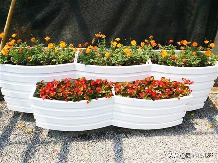 阳台花箱景观设计,景观花架花箱设计