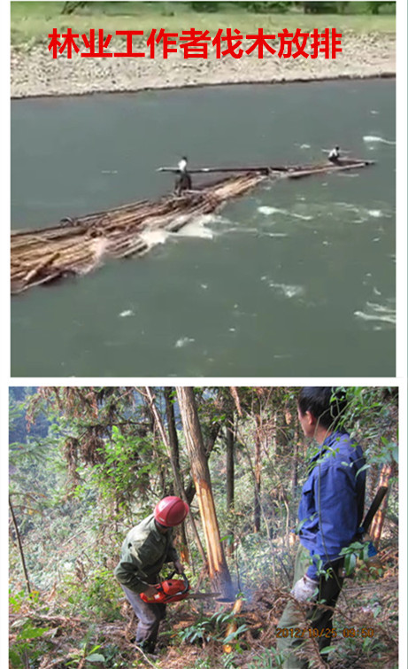 林业礼赞——世界最后一滴水将是人类的眼泪吗