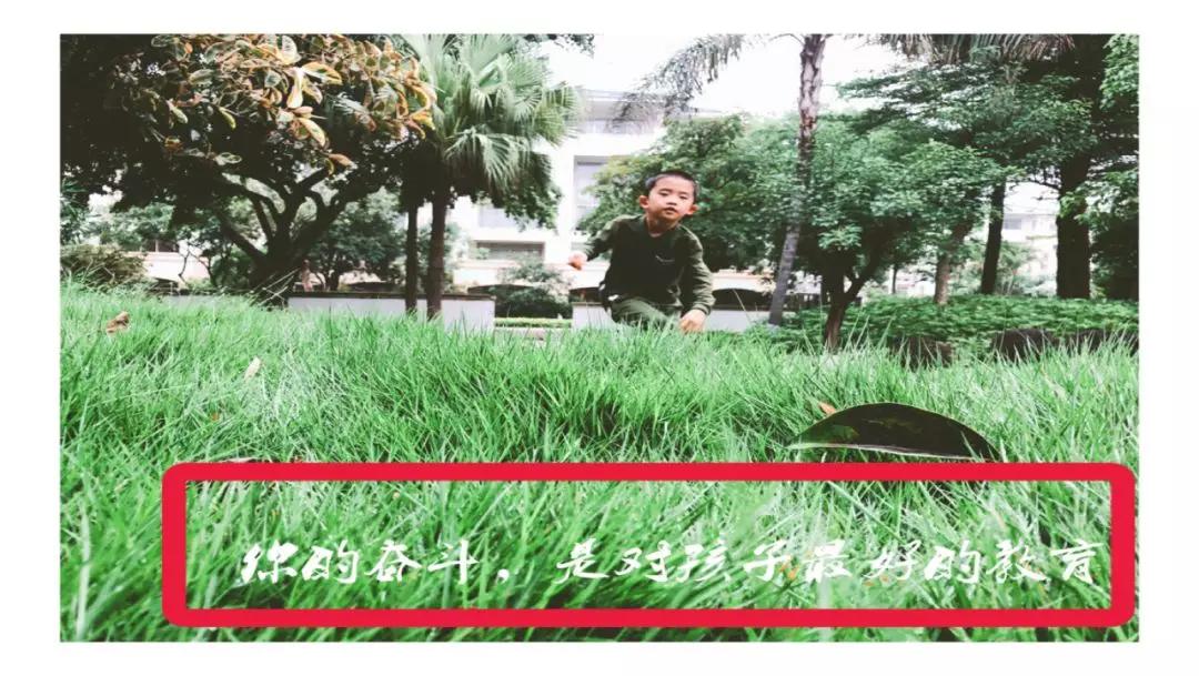 阿彬老师简介,阿彬老师最新视频