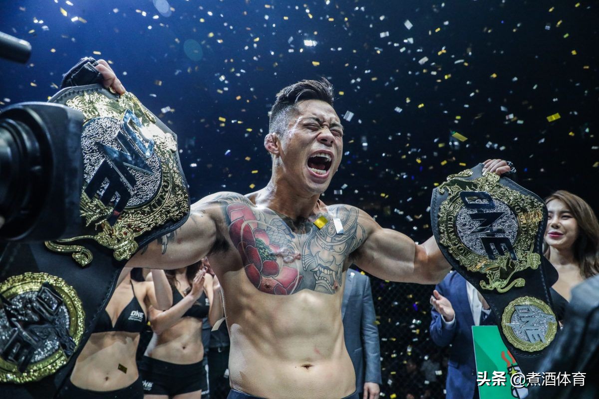 世界冠军大揭秘,世界冠军深度解析