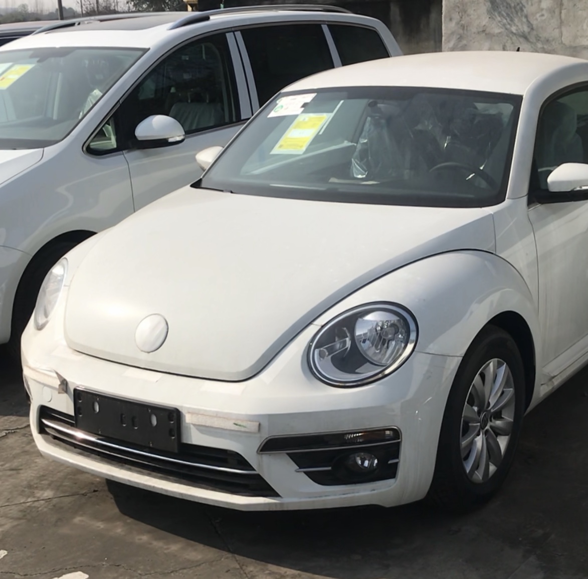 二手甲壳虫5万元左右,二手甲壳虫值得买吗