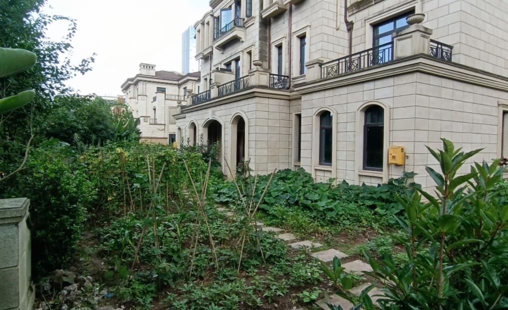 谈谈重庆照母山的房子,重庆照母山最好房评