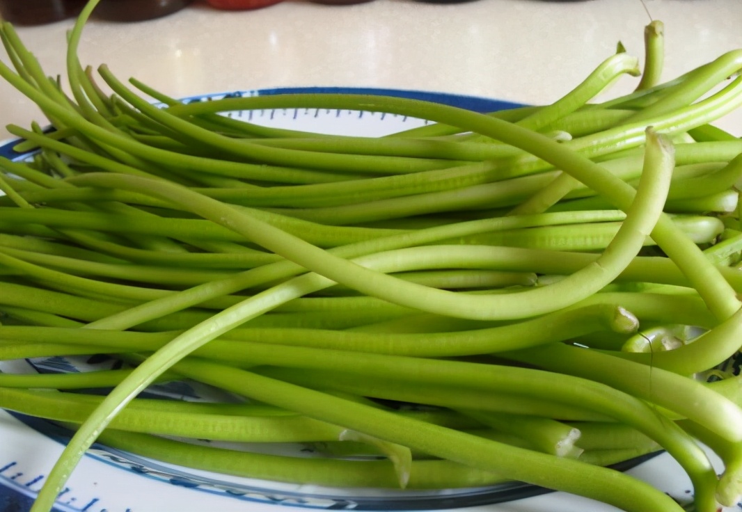 红薯藤的逆袭：曾被弃用来喂猪，如今成“蔬菜皇后”，3元一把