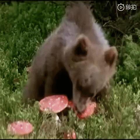 宝宝喝奶足够了为什么还是哭,新生儿闭着眼睛喝奶哭了