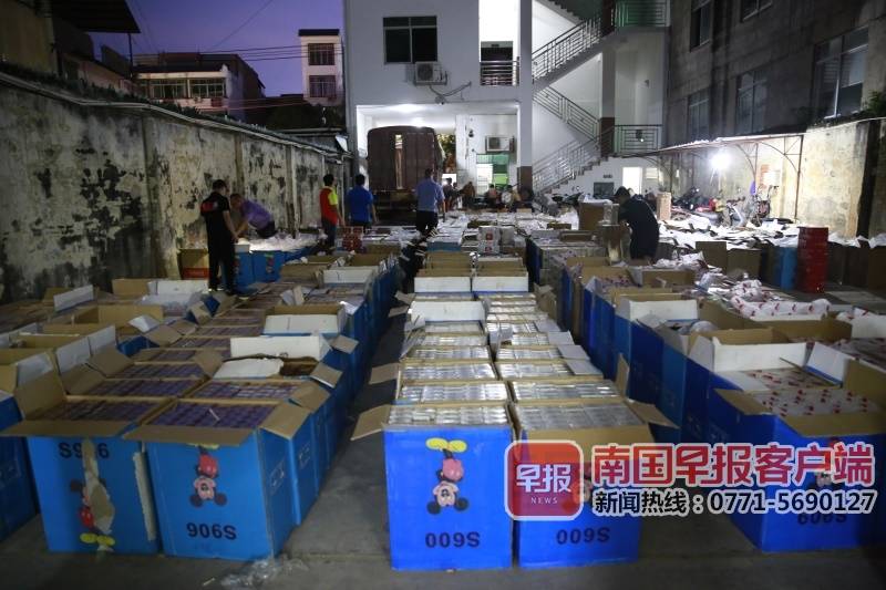 竹鼠窝里的香烟,上思竹鼠窝