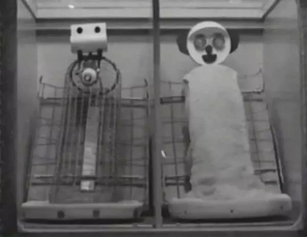 马伊琍最新近况曝光,马伊琍近况揭秘