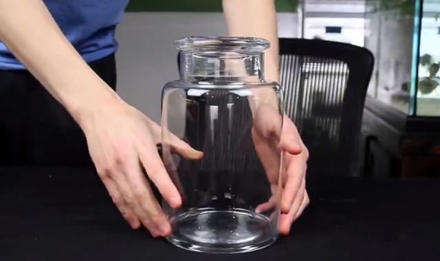 莫斯树到底好不好,莫斯树是什么