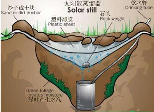 收藏备用常识100条,野外探索地理小知识