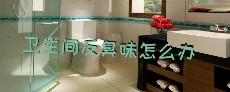 马桶反臭味怎么办,厕所反味特别严重咋办