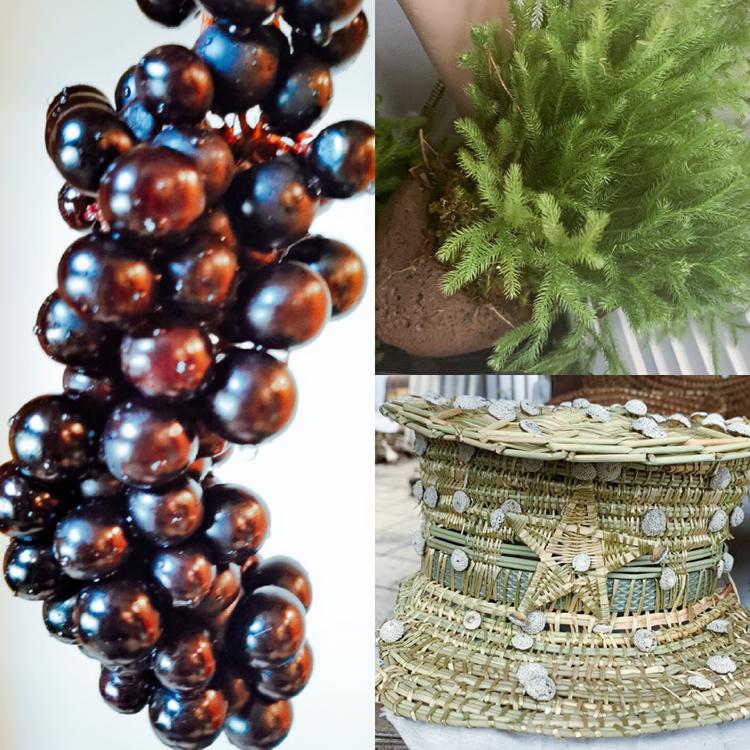 「第四期」一辆房车,三只毛孩子,三个姑娘,9476公里奇遇记