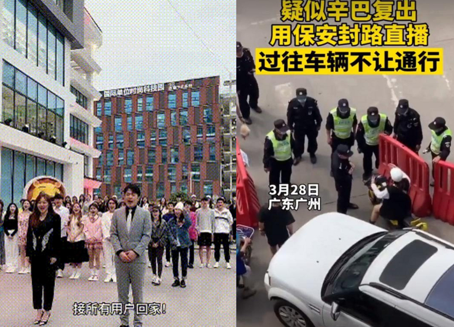 盘点被封杀的无良网红 (曾经被封禁的网红现如今都怎么样)