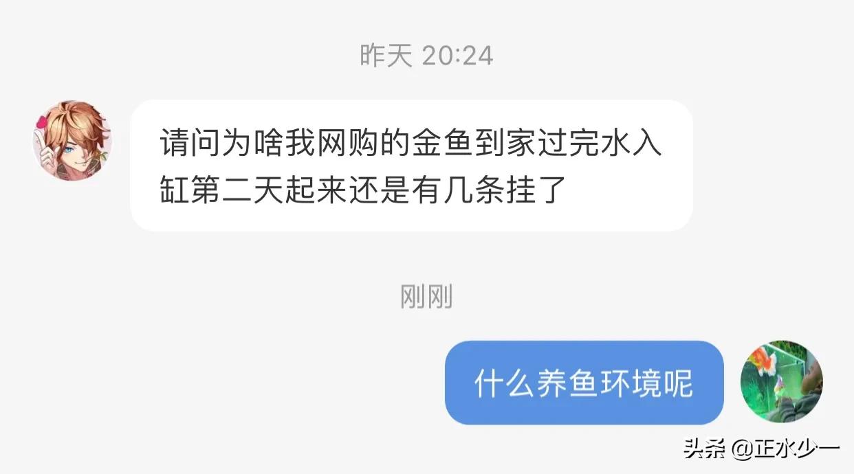 治疗鱼病什么药最好,治疗鱼的最好方法
