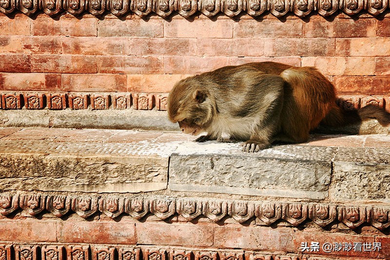 尼泊尔恒河上的烧尸庙,夜游尼泊尔烧尸庙
