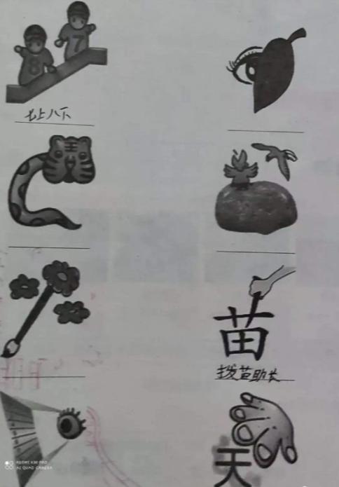 在山上遇到什么野果,在山上遇到哪些野菜