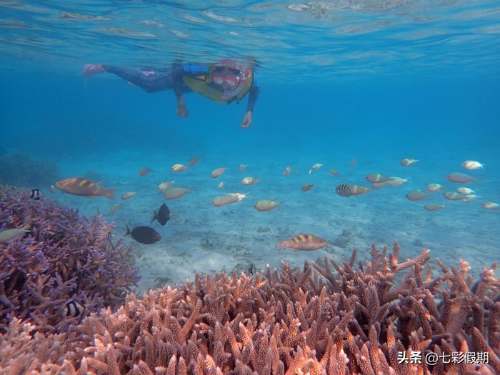 马尔代夫最值得去的岛,马尔代夫白雅湖岛游记