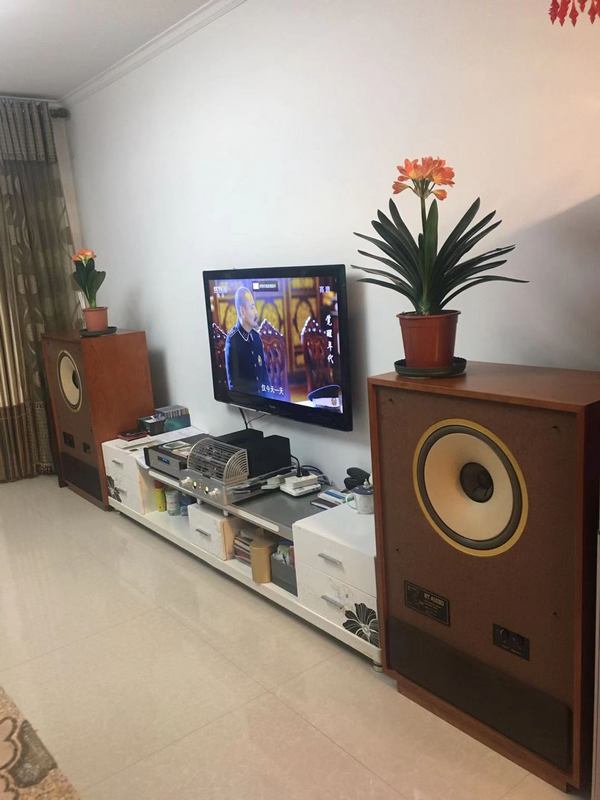 15瓦的功放能推多大的喇叭,15瓦胆机可以推多大音箱