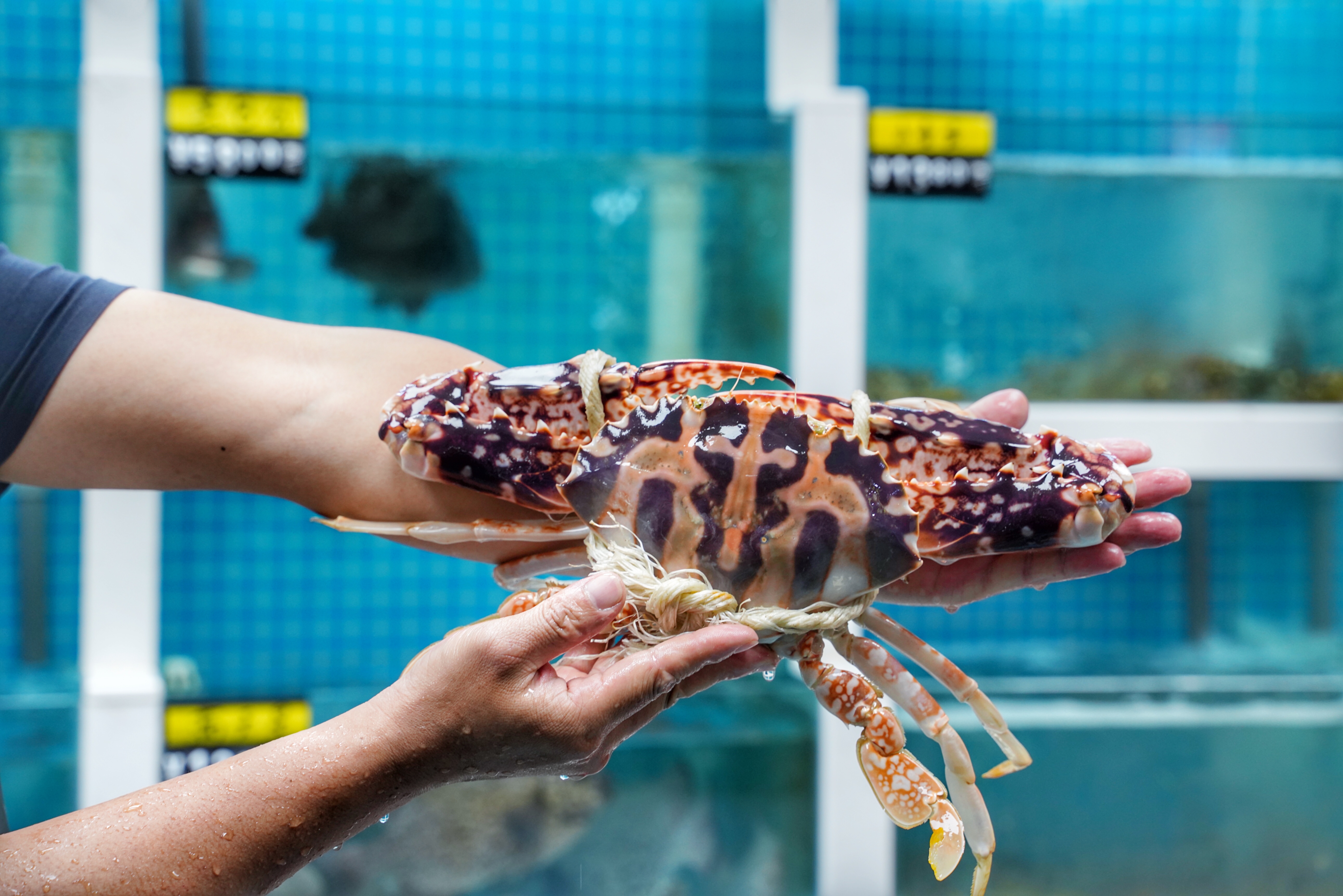 本地人都知道的海鲜大排档，都说来过还想再来