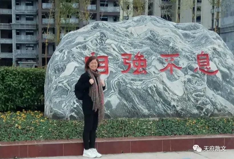 又是遍野槐花香,一季槐花香