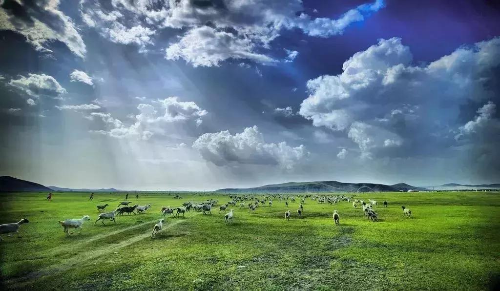 芜湖的人可以去哪外出游玩一天,安徽芜湖人能出去旅游吗