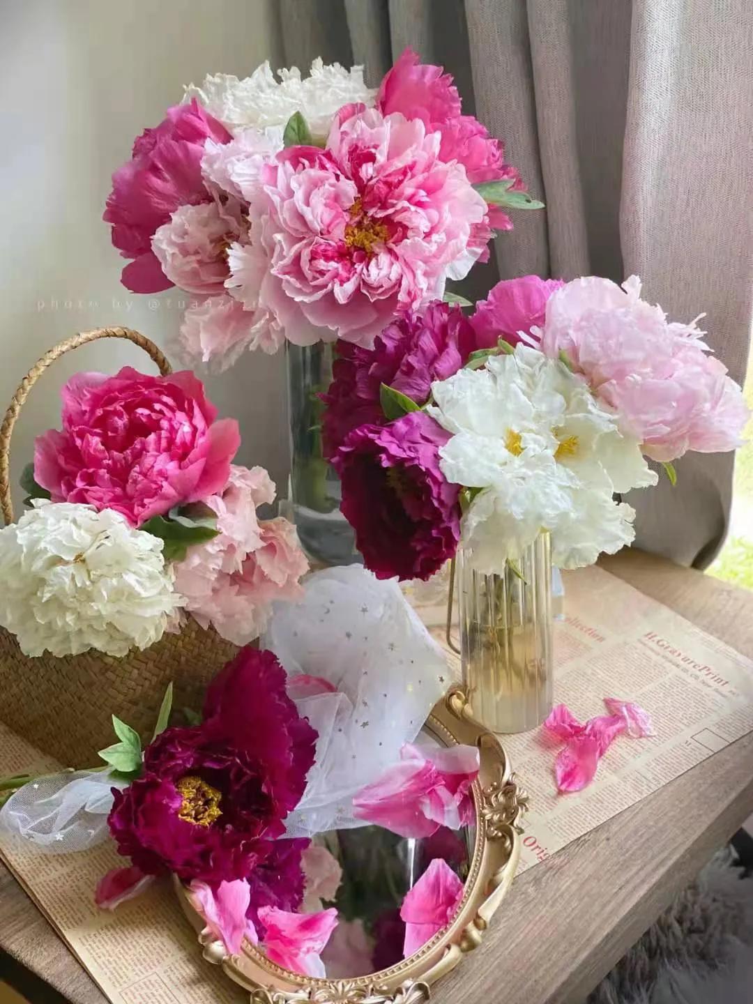 国色天香牡丹花雍容华贵,花中之王国色天香牡丹花