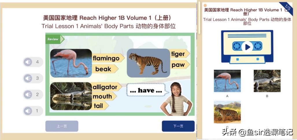 阿卡索学英语口碑如何,阿卡索英语半年课价钱