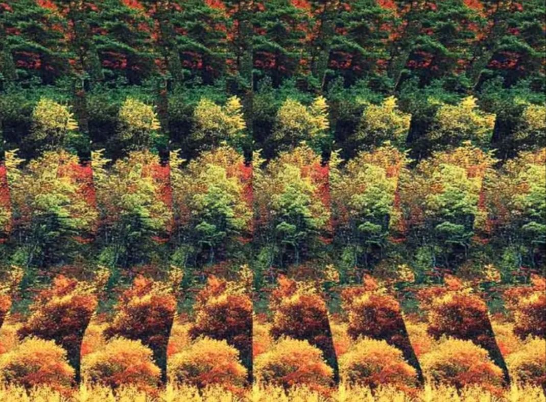 如何简单的学好3d图画,3d画是如何制作出来的