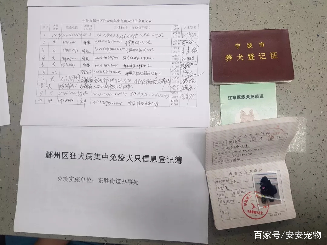 安安宠医澄湖路诊所,安安宠医桂园路分院