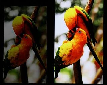 手机换屏幕内幕揭秘,手机换内屏有什么猫腻