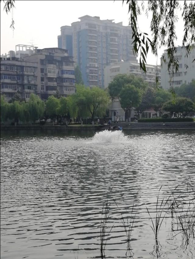 武汉菱角湖公园有亭子吗,武汉菱角湖公园开放时间