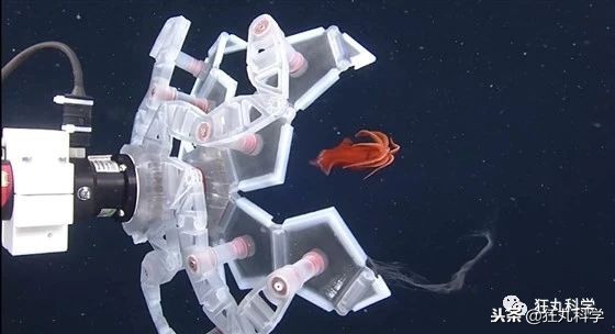 折纸大神的所有折纸,折纸大神教折纸