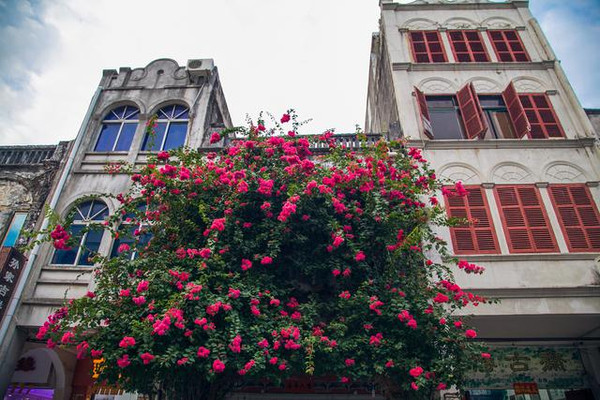 北海沧桑老街在哪里,北海老街西街往事