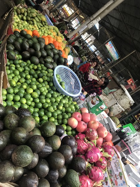 鑺掑競鍜岃吘鍐茬憺涓藉摢涓ソ,鑵惧啿鐟炰附鑺掑競瑗垮弻鐗堢撼