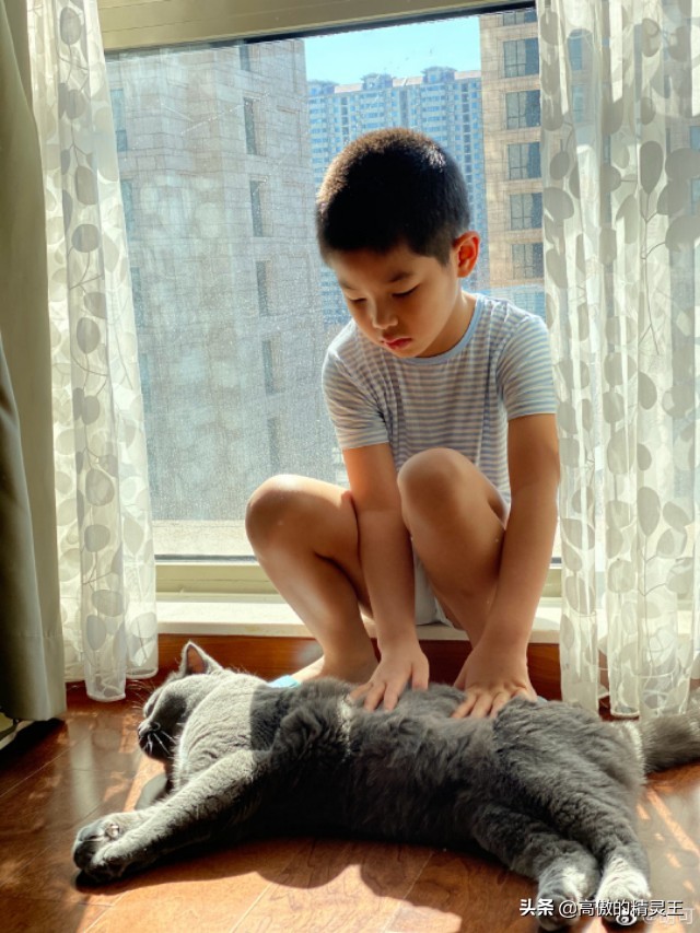 胡可晒小鱼儿垂涎猫粮,趴地上围观猫咪进食,网友提醒小心他偷吃