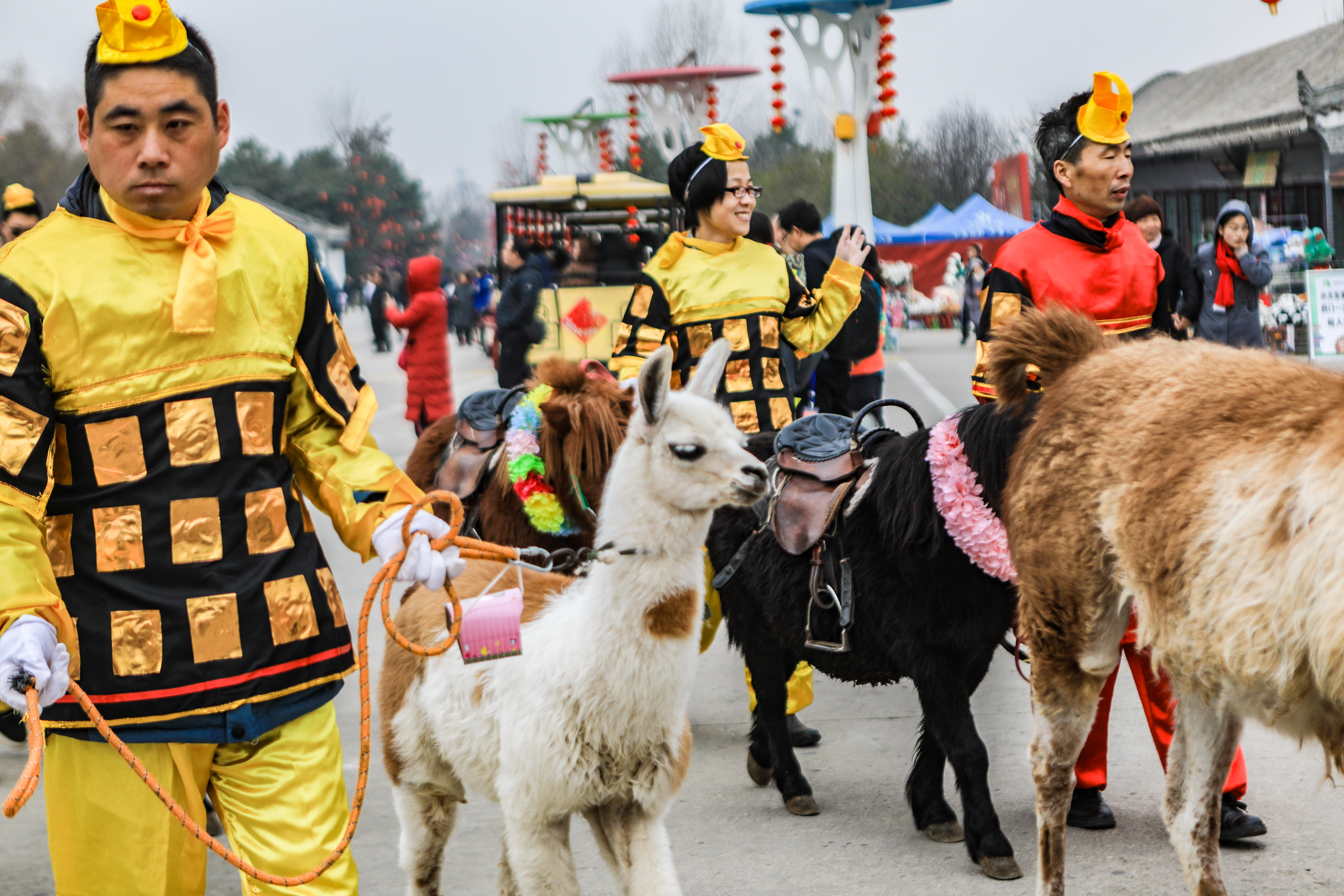 这是西北首个野生动物园，实测喂老虎是一种怎样感受！刺激