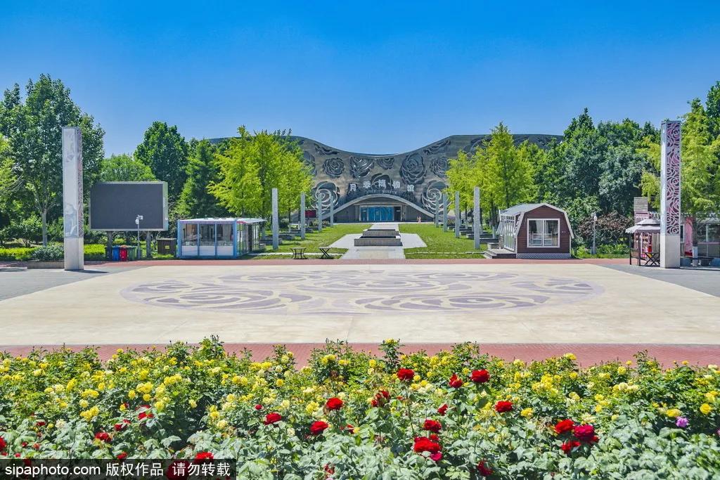 全球最美十大花海美到令人心醉,全球最漂亮花海