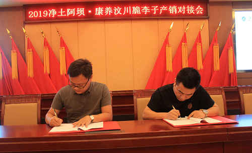 汶川脆红李子基地,2020年汶川脆李子产量