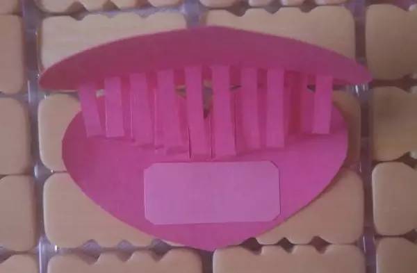 手工心形贺卡又简单漂亮,超级简单可爱的爱心贺卡