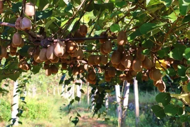 家在北仑,我有一个家北仑