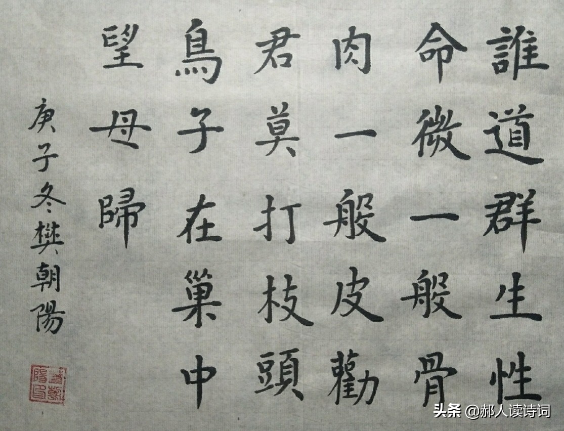 人类与自然和谐共生的诗,人类自然和谐共生古诗